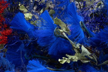 mavi kuru dekoratif çiçekler yakın plan.