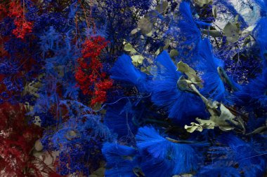 mavi kuru dekoratif çiçekler yakın plan.