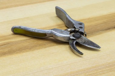 Dalları kesmek için makas tahta bir masada yatıyor.