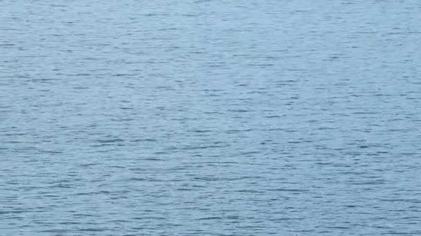 Dniepr rivière gros plan dans le vent dans l'après-midi 