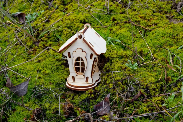 Casa pequena de madeira na grama com moss stands à tarde — Fotografia de Stock