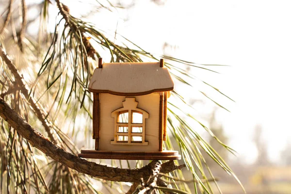 Pequena casa de madeira nos ramos de uma árvore de Natal — Fotografia de Stock