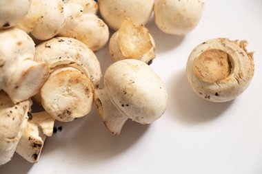 Beyaz arka planda ham şampiyonlar