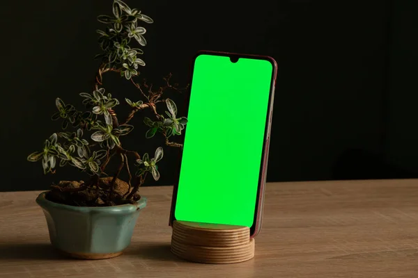 a touch-screen phone with a green screen stands on a stand next to a decorative bonsai tree in a pot on a wooden table in a dark room