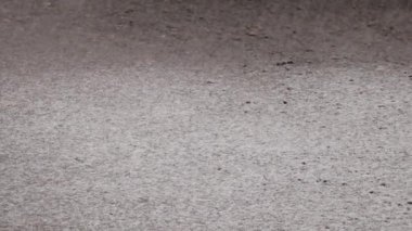 snow falls on the road in winter