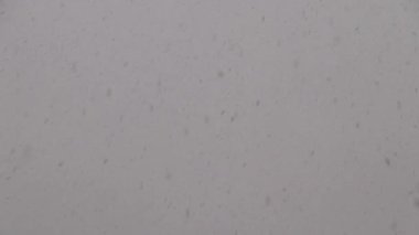 Geceleri fenerin yanına kar yağar.