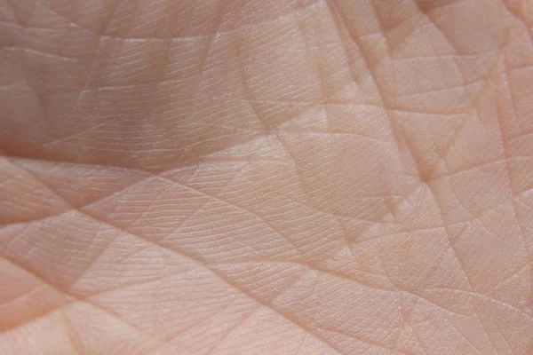 Skin of the hands of a young girl close-up — Stockfoto