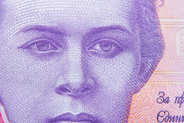 200 UAH close-up, Ukrainian hryvnia, Lesya Ukrainka