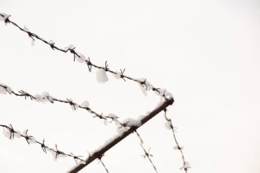 winter fence with barbed wire in the snow against the sky