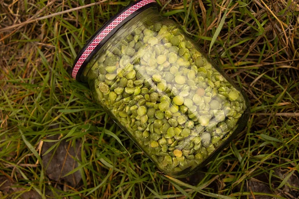 Kacang polong hijau mentah dalam botol kaca terletak di rumput — Stok Foto