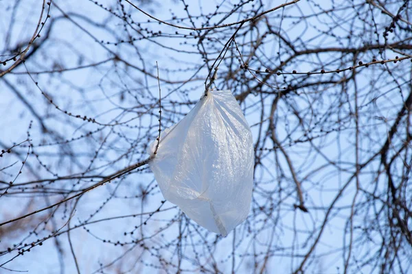 Rama Árbol Bolsa Plástico Contra Cielo —  Fotos de Stock