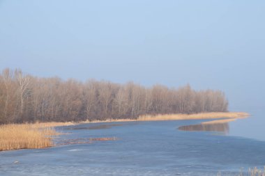 Nehir Dinyeper Ormanı güneşli bir kış gününde eriyen buzlar