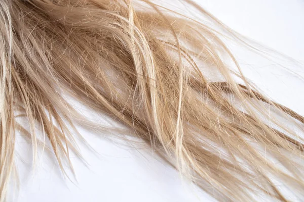 Blond long hair on a white background close-up — Stock Photo, Image