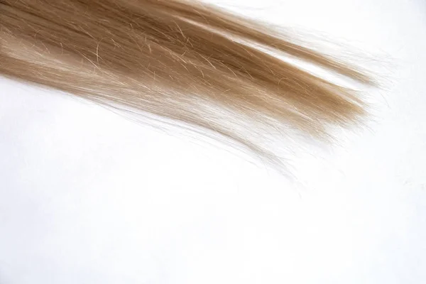 Cabelo longo loiro em um fundo branco close-up — Fotografia de Stock