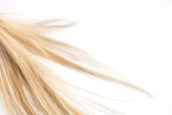 Blond long hair on a white background close-up — Stock Photo, Image