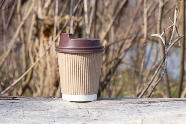 brown paper coffee cup stands in the forest