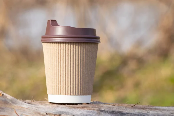 brown paper coffee cup stands in the forest