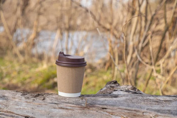 brown paper coffee cup stands in the forest