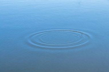 Çemberler yakın plan olarak nehir suyunda ayrılır