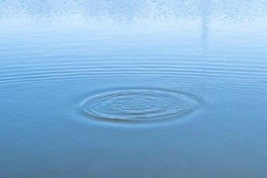 Çemberler yakın plan olarak nehir suyunda ayrılır