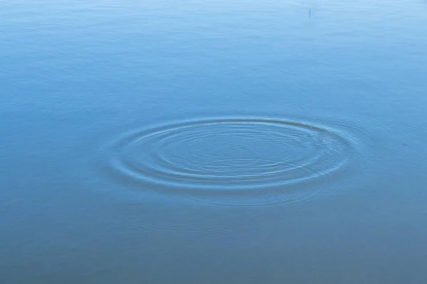 circles diverge on river water as a background close-up