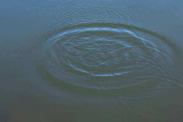 作为背景特写的圆圈在河水上的分叉 — 图库照片