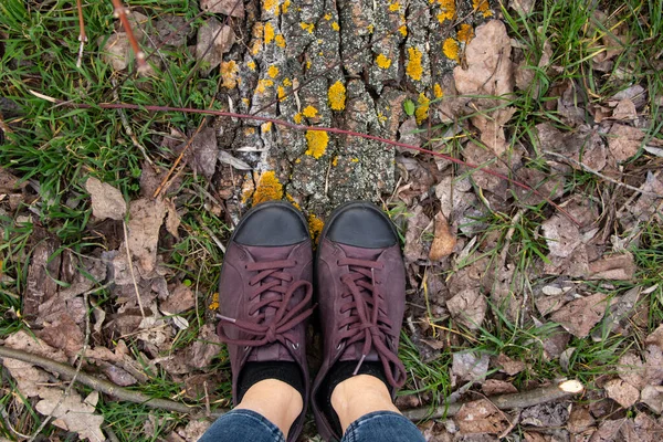 background of forest land with needles from a Christmas tree and women\'s sneakers view from the top close-up