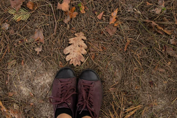 background of forest land with needles from a Christmas tree and women\'s sneakers view from the top close-up