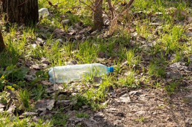 Plastik bir şişe doğada çimlerin üzerinde duruyor çöp gibi atılıyor.