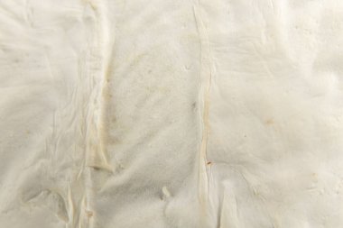 arkadaki brie peyniri olarak yakın plan makro fotoğraf