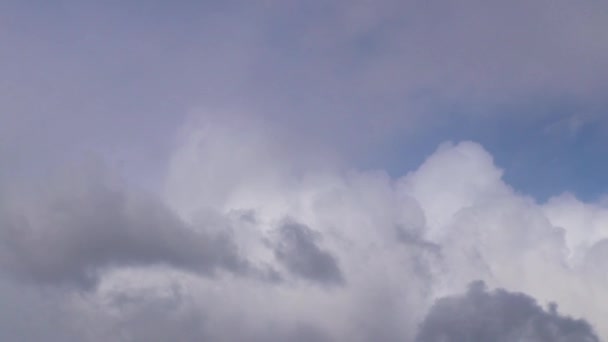 Небо Облаками Солнечный День Близко Шагает Ветру — стоковое видео