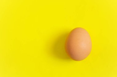 Renkli arka planda çiğ tavuk kahverengi yumurtası.