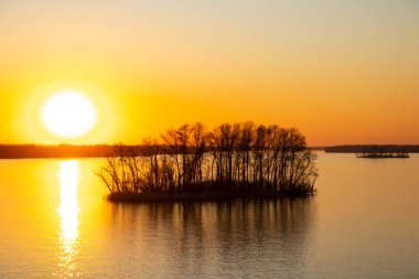 Dinyeper nehrinin kıyısında gün batımı Ukrayna 'nın Dinyeper şehirlerindeki ağaçların arasında.