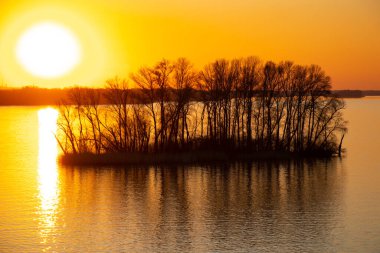 Dinyeper nehrinin kıyısında gün batımı Ukrayna 'nın Dinyeper şehirlerindeki ağaçların arasında.