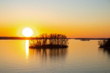 Dinyeper nehrinin kıyısında gün batımı Ukrayna 'nın Dinyeper şehirlerindeki ağaçların arasında.