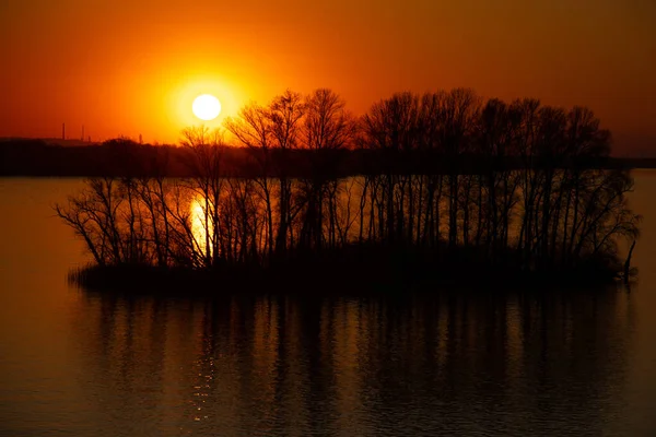 Sunset Banks Dnieper River Trees Ukraine Dnieper Cities — Stock Photo, Image