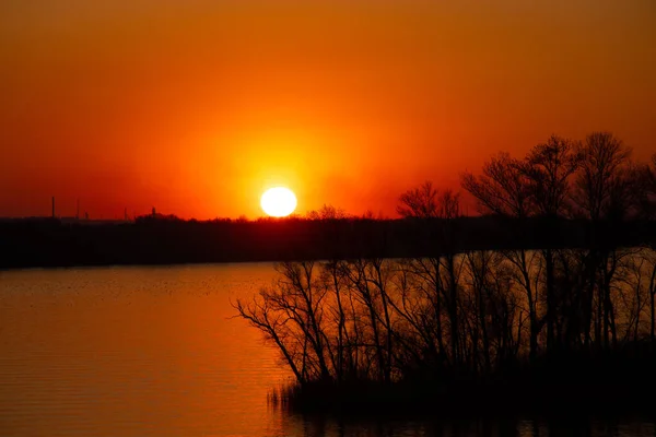 Sunset Banks Dnieper River Trees Ukraine Dnieper Cities — Stock Photo, Image