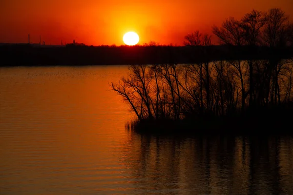 Coucher Soleil Sur Les Rives Fleuve Dniepr Parmi Les Arbres — Photo