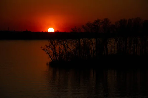 Coucher Soleil Sur Les Rives Fleuve Dniepr Parmi Les Arbres — Photo