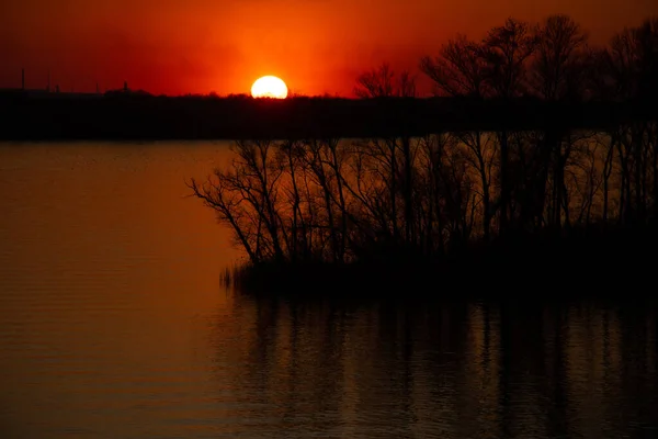 Coucher Soleil Sur Les Rives Fleuve Dniepr Parmi Les Arbres — Photo