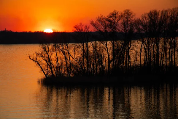 Sunset Banks Dnieper River Trees Ukraine Dnieper Cities — Stock Photo, Image