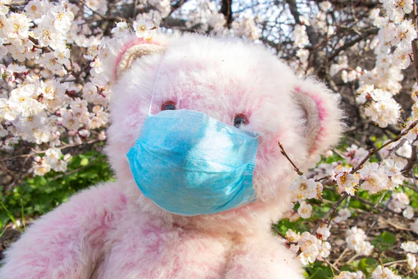 Medisch Masker Van Een Teddybeer Parken Naast Bloeiende Abrikoos Oekraïne — Stockfoto