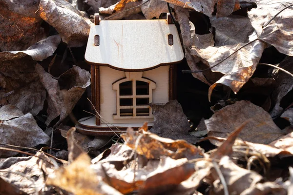 Klein houten huis staat in droge bladeren in de zon — Stockfoto