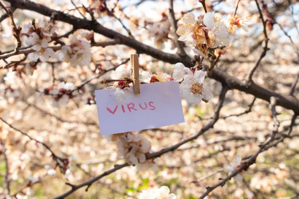 Virus Woord Het Engels Geschreven Het Rood Een Wit Blad — Stockfoto