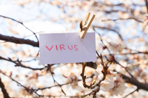 Virus Woord Het Engels Geschreven Het Rood Een Wit Blad — Stockfoto