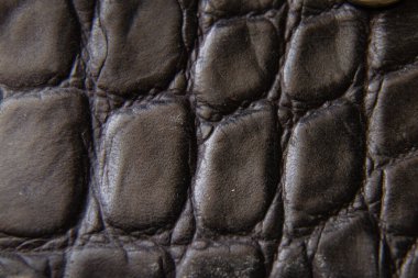 arkaplan olarak siyah timsah derisi fotoğraf