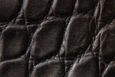 arkaplan olarak siyah timsah derisi fotoğraf