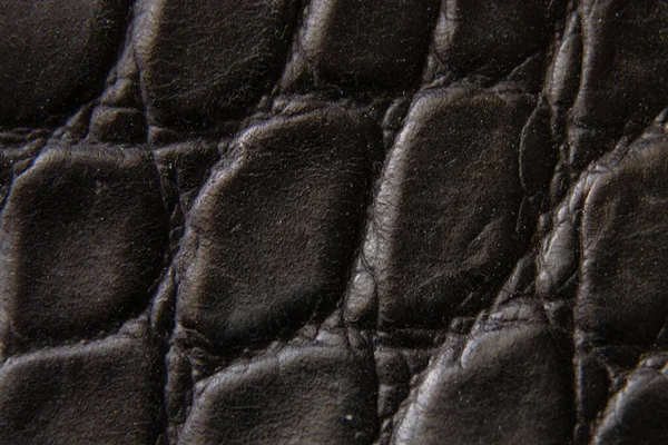 arkaplan olarak siyah timsah derisi fotoğraf