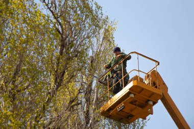 Ağaçları gökyüzüne karşı budamak ve Ukrayna 'da vinçli bir adam