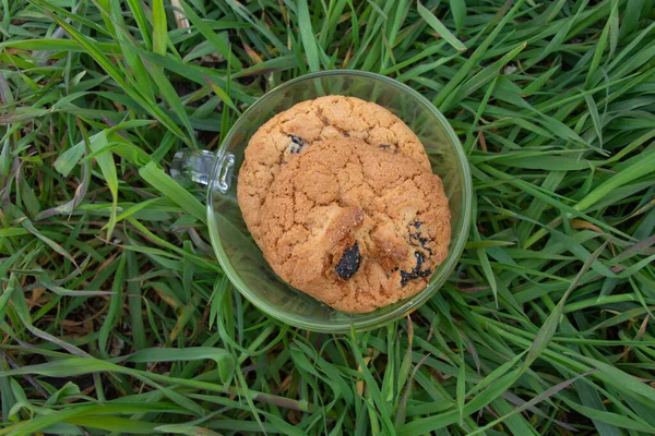 Uma Xícara Cheia Biscoitos Fica Grama Verde Rua — Fotografia de Stock